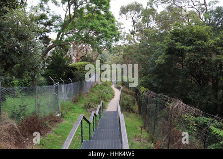 A piedi la via che porta da vicino HMAS Penguin a medio a testa in giù alla spiaggia di Balmoral in Mosman, Sydney, Australia. Foto Stock