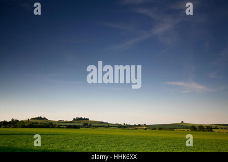 Wittenham Clumps e Brightwell Barrow, Oxfordshire, England, Regno Unito Foto Stock