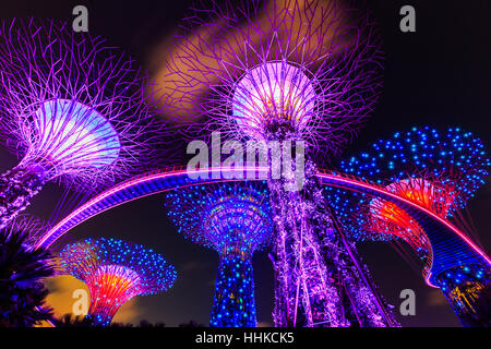 La città di Singapore, Singapore - 8 gennaio 2016 Supertree Boschetto Gradens dalla baia Foto Stock