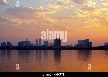 Vacanze Tet fiore a Hanoi, Vietnam Foto Stock