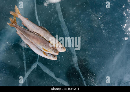 In inverno la pesca sul lago. Foto Stock