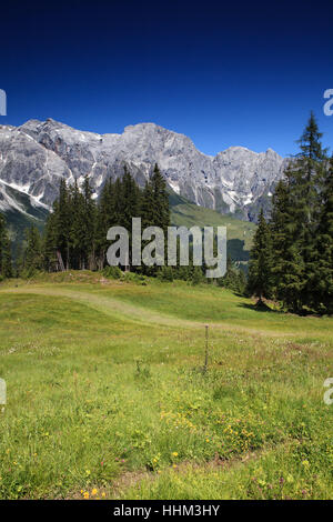 Alpi, massiccio, alpenstock, prato, montagna, blu, bella, beauteously, Nizza, Foto Stock
