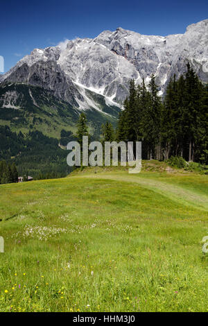 Alpi, massiccio, alpenstock, prato, montagna, blu, bella, beauteously, Nizza, Foto Stock