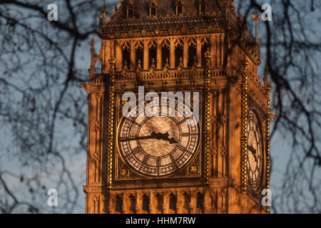 Rami del piano d'inverno alberi in primo piano e il clockface contenente il Big Ben campana in Elizabeth Torre del parlamento britannico, il 17 gennaio 2017, a Londra Inghilterra. La torre di Elizabeth (precedentemente chiamato la Torre dell Orologio) denominata in omaggio alla Regina Elisabetta II nel suo Diamond anno giubilare - è stata sollevata come una parte di Charles Barry design per un nuovo palazzo, dopo che il vecchio Palazzo di Westminster fu in gran parte distrutto da un incendio durante la notte del 16 ottobre 1834 .. (Di più nella descrizione). Foto Stock