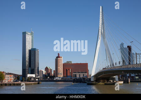 Il programma Erasmus ponte attraverso il fiume Nieuwe Maas, Kop van Zuid, Rotterdam, Olanda, Paesi Bassi Foto Stock