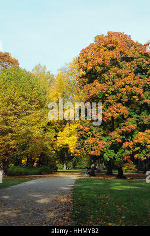 Park, Colonia, colorata, acqua fresca, stagno, acqua, foglie, fogliame, natura Foto Stock