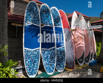 Paddle boards, Bitter End Yacht Club di Virgin Gorda, Isole Vergini Britanniche. Foto Stock