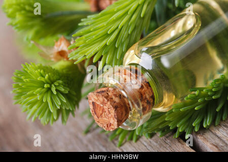 Fir olio aromatico in una bottiglia di vetro sullo sfondo di giovani rami orizzontali macro Foto Stock