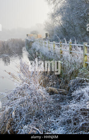 Ringhiere stradale coperto in una trasformata per forte gradiente gelo in inverno. Somerton, Nord Oxfordshire, Inghilterra Foto Stock