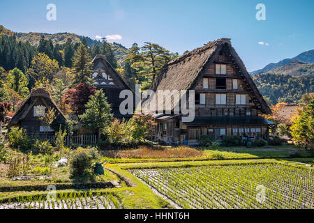 Gassho-zukuri case a Shirakawa-go, Gifu Giappone Foto Stock