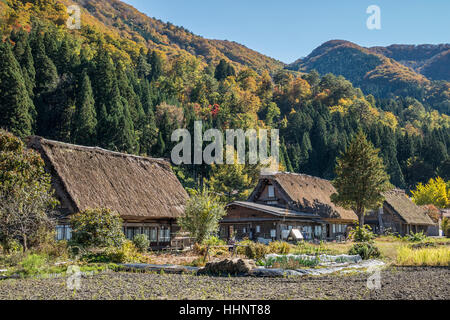 Gassho-zukuri case a Shirakawa-go, Gifu Giappone Foto Stock