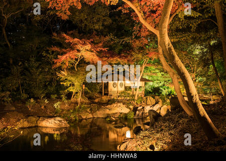 Giardino Rikugien di notte, Tokyo, Giappone Foto Stock