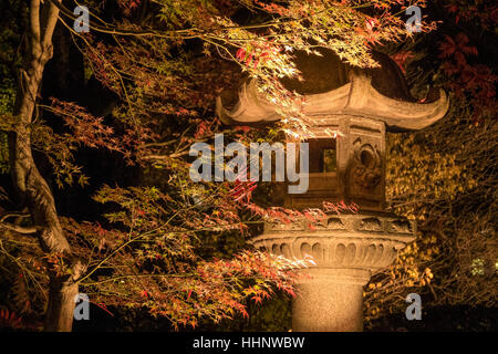 Giardino Rikugien di notte, Tokyo, Giappone Foto Stock