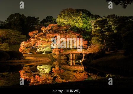 Giardino Rikugien in autunno, Tokyo, Giappone Foto Stock