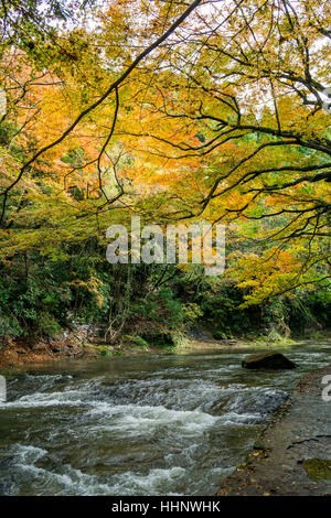 Yoro Keikoku in autunno, Chiba, Giappone Foto Stock