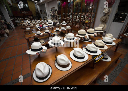 Luglio 21, 2016 Cuenca, Ecuador: classic Panama cappelli sul display del cappello di paglia museo nel centro della città Foto Stock