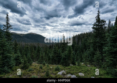Nuvole sopra gli alberi nel paesaggio di montagna Foto Stock