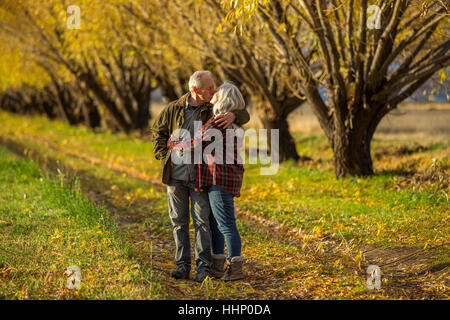 Coppia caucasica kissing nei pressi di alberi in autunno Foto Stock