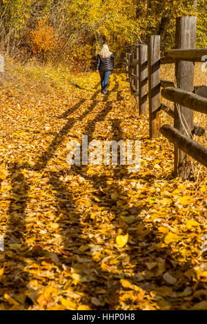 La donna caucasica camminare vicino a recinzione in legno in autunno Foto Stock