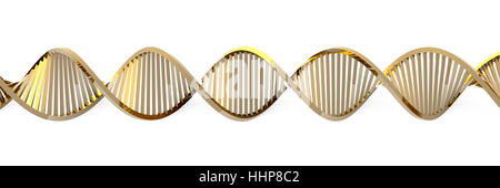 Salute, vita, esistono, esistenza, vivendo, vive, live, isolata, medicalmente, Foto Stock