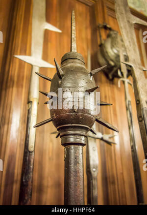 Stella Del Mattino Arma Foto Stock Alamy