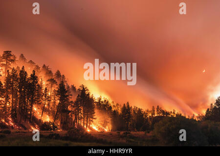 Big Bear, California, Stati Uniti d'America. Il 18 giugno, 2015. CA di incendi - Il lago di fuoco arde nella San Bernardino National Forest su Giugno 18th, 2015 vicino al cuore Bar campeggio. Bruciava oltre 31.000 acri e il costo di oltre 30 milioni di dollari per la lotta contro l.data 20150618.lunga esposizione di credito immagine: Stuart Palley/ZUMA filo/Alamy Live News Foto Stock