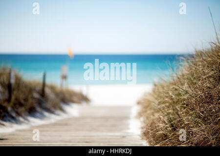 Rivestito di erba, percorso di legno che conduce alla spiaggia. Panama City Beach, Gulf Coast, Florida. Foto Stock