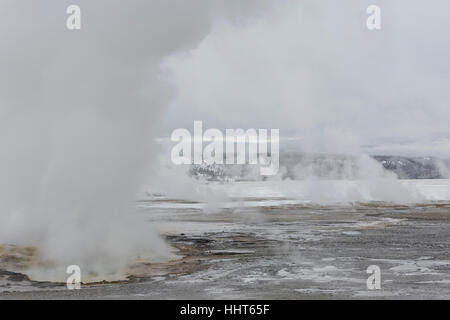 Lo spasmo Geyser, Fontana Paint Pots. Settembre, 2016. Parco Nazionale di Yellowstone, Wyoming USA Foto Stock