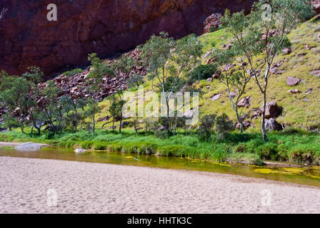 Natura selvaggia al Simpson Gap, Northen Territorio, Australia Foto Stock