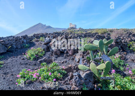 Monto Corona, Haria, Lanzarote, Isole Canarie, Spagna Foto Stock