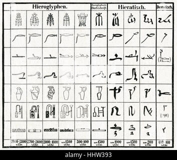 I geroglifici - antico Egitto. Essa mostra ieratico e Demotic script. Foto Stock