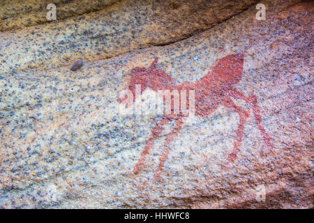 Antichi dipinti dei Boscimani su Sevilla Arte Rock Trail in montagne Cederberg, Sud Africa Foto Stock