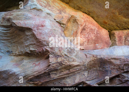 Antichi dipinti dei Boscimani su Sevilla Arte Rock Trail in montagne Cederberg, Sud Africa Foto Stock