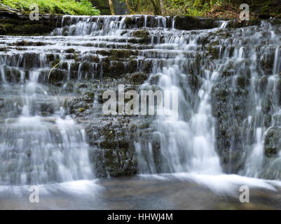 Cascata, Glencar Waterfall, Leitrim, Connacht, Irlanda Foto Stock