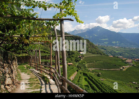 Waalweg di Lagundo Merano Alto Adige Italia Foto Stock