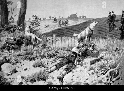 La rivelazione dei feriti da cani al Fighter battaglione, Germania, immagine storica o illustrazione, pubblicato 1890, digitale migliorata Foto Stock