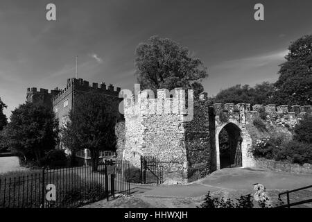 Molla,Giugno,Maggio,Giardini di Castello,Hertford town,Hertfordshire,Inghilterra Foto Stock