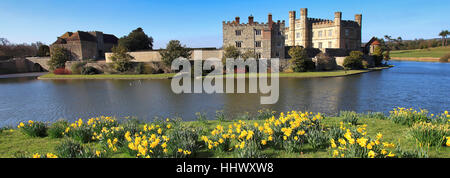 La molla Daffodil fiori al Castello di Leeds, Kent, England, Regno Unito Foto Stock