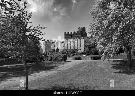 Molla,Giugno,Maggio,Giardini di Castello,Hertford town,Hertfordshire,Inghilterra Foto Stock