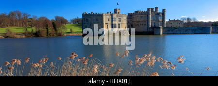 La molla Daffodil fiori al Castello di Leeds, Kent, England, Regno Unito Foto Stock