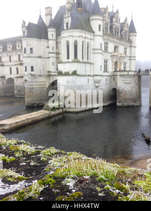 Vista sul Chateau de Chenonceau in inverno con moss sul primo piano. Foto Stock