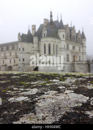 Vista sul Chateau de Chenonceau in inverno con moss sul primo piano. Foto Stock