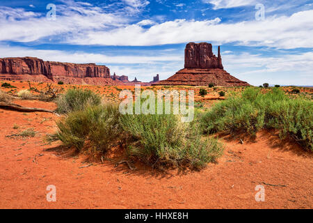Monument Valley Navajo Tribal Park, Arizona, Stati Uniti sud-ovest deserto paesaggio Foto Stock
