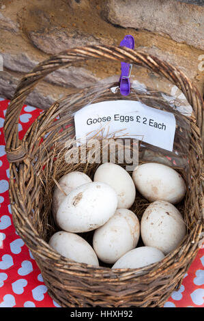 Goose oche uova per la vendita nel cestello al mercato degli agricoltori, Somerset, Inghilterra, Regno Unito Foto Stock