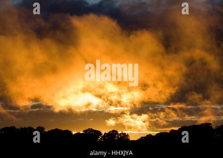 Firey tramonto incandescente nuvole contro gli alberi vecchi basando Basingstoke Hampshire Foto Stock