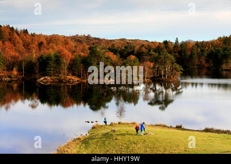 Una tranquilla giornata autunnale a Tarn Howes, Cumbria. Foto Stock