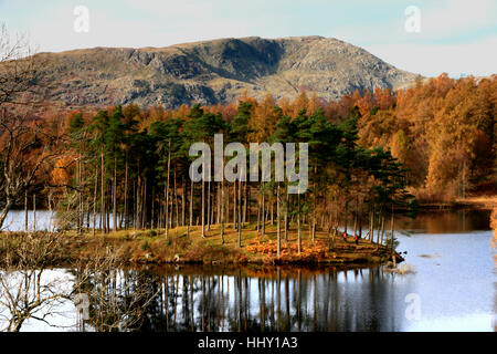 Una tranquilla giornata autunnale a Tarn Howes, Cumbria. Foto Stock