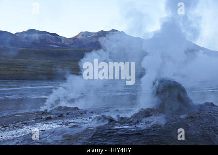 Il gorgogliamento, la cottura a vapore di geyser a geyser del Tatio, il Deserto di Atacama, Norte Grande del Cile Foto Stock