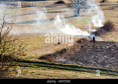 Agricoltura rurale, Italia. Controllato, prescritto ie masterizzazione consentito. Foto Stock