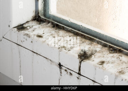 Stampo su moderne finestre in plastica, muffe, funghi, muffe, riparazione, house, riparazione in onda, malati, patogeni pericolosi, salute. Non guarire Foto Stock